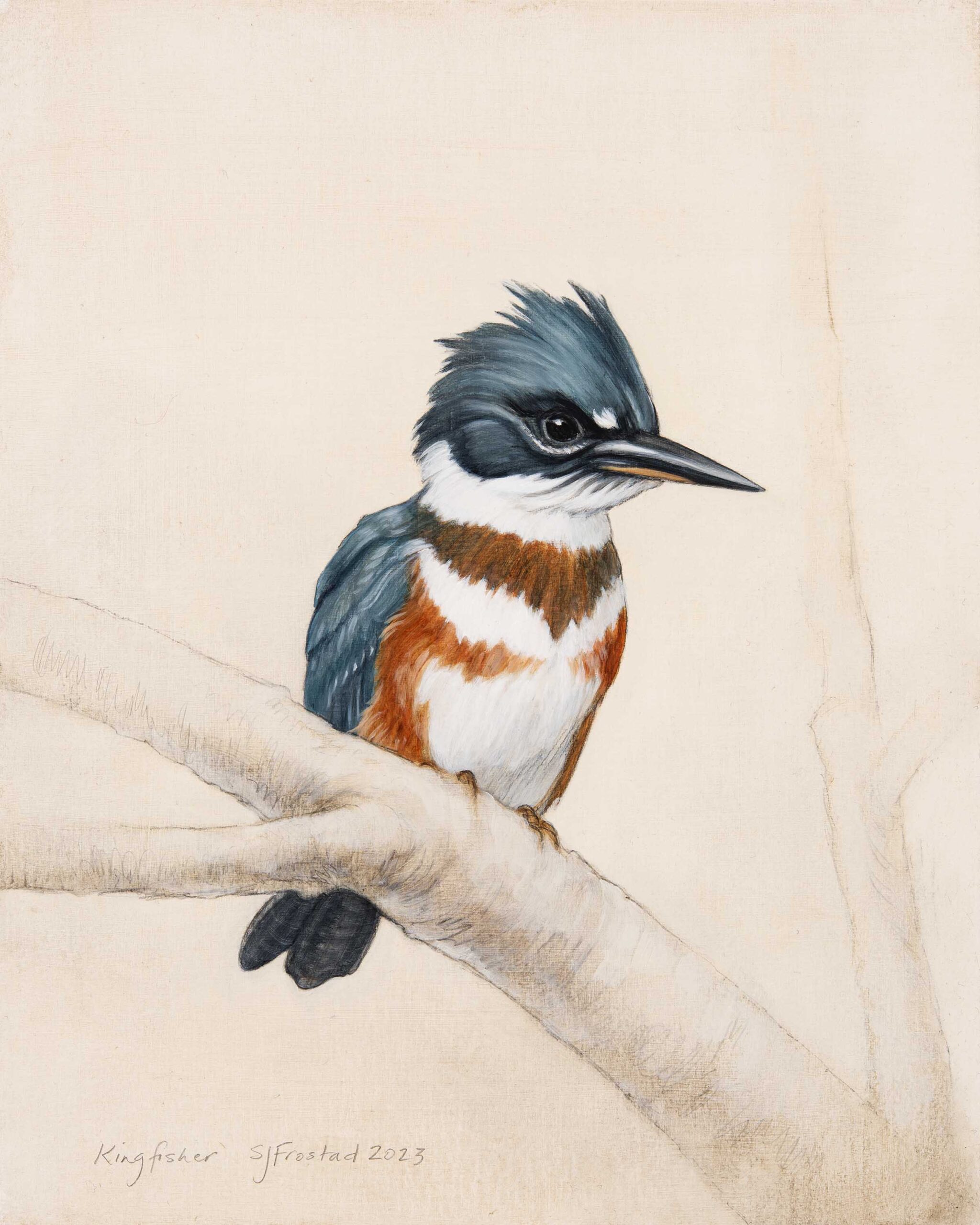 Kingfisher, 2023. Graphite & oil on art board, 10x8". Sold