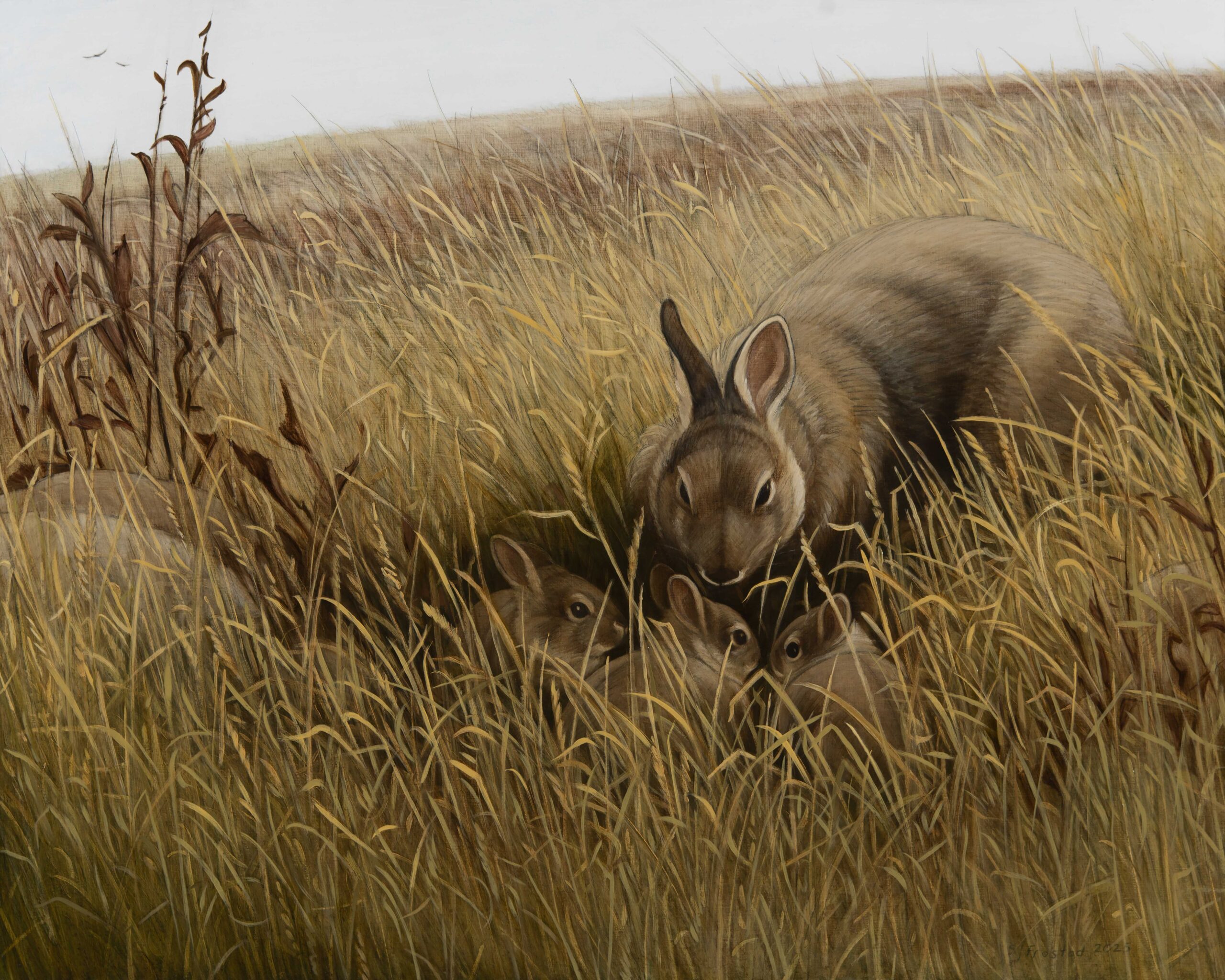 Doe & Kits Study, 2025. Graphite & oil on wood panel, 16x20". 900